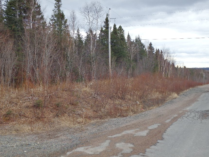 Clarenville Realty New